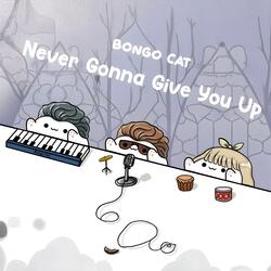 Never Gonna Give You Up