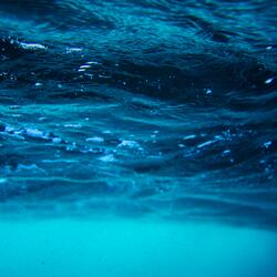 Liquid of Life