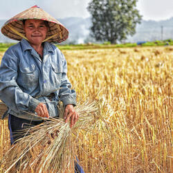 Old Mcdonald Ate His Mom