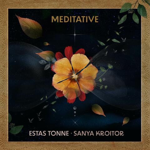 Meditative