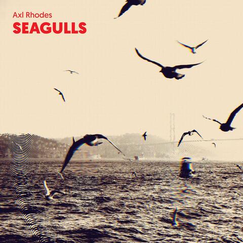 Seagulls