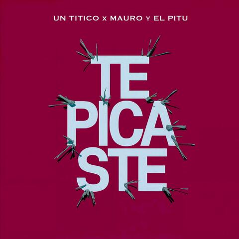 TE PICASTE