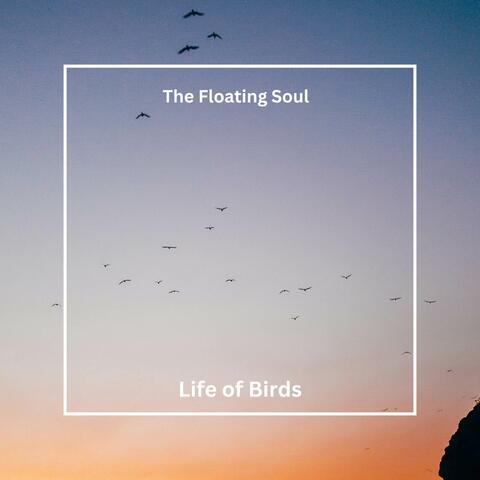 Life of Birds