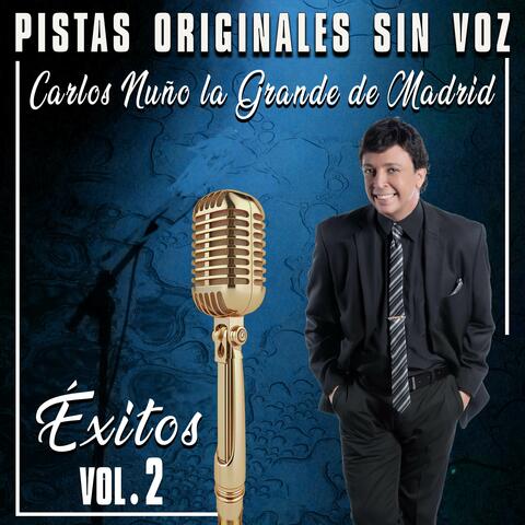 Pistas Originales Sin Voz (Éxitos Vol. 2)