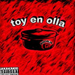 Toy En Olla