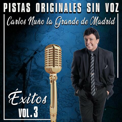 Pistas Originales Sin Voz (Éxitos Vol. 3)