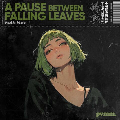 A pause between falling leaves