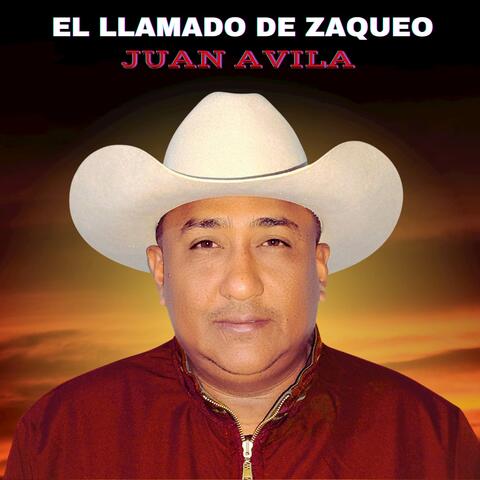 El Llamado de Zaqueo