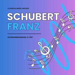 Schwanengesang, D.957, 11. Die Stadt