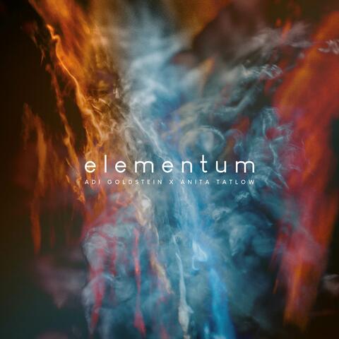 elementum