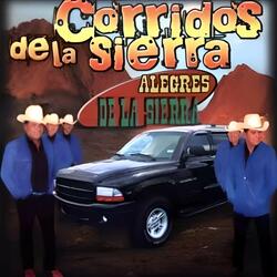 Amargo Dolor