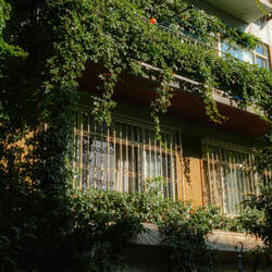 Who’s Stopping Me?