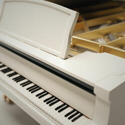 Shooting Stars In The Sky