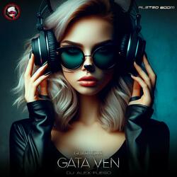 Gata Ven (Guaracha)