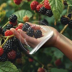 Aroma de Amora