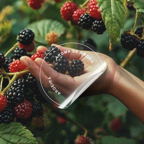 Aroma de Amora