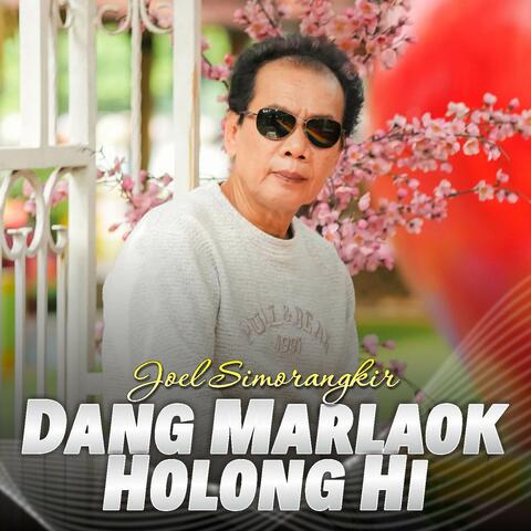 Dang Marlaok Holong Hi