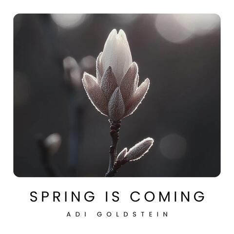 Spring Is Coming