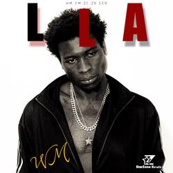 IMMA STORK LIKE BATMAN