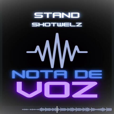 NOTA DE VOZ