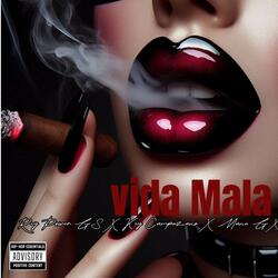 Vida Mala