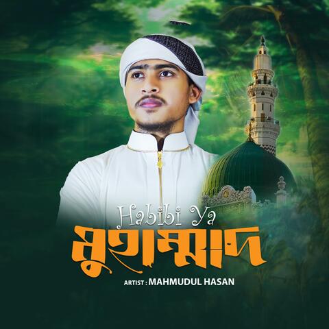 Habibi Ya Muhammad
