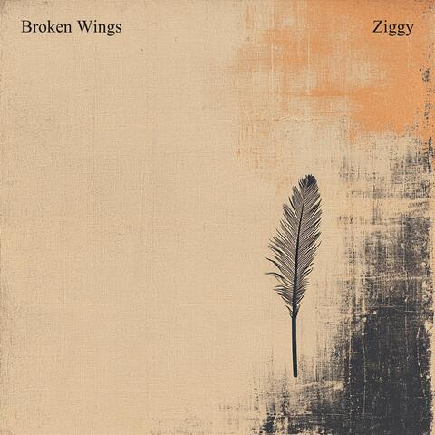 Broken Wings