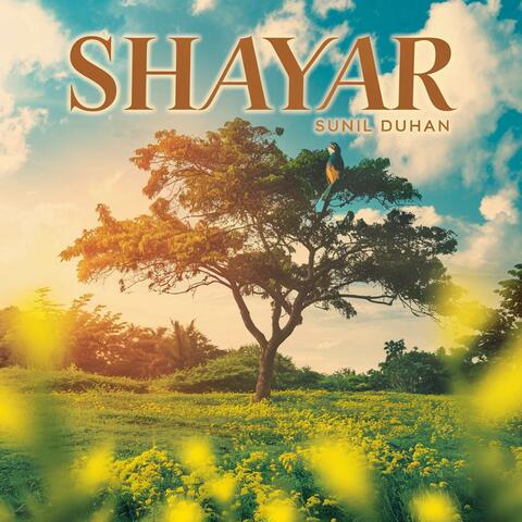 Shayar