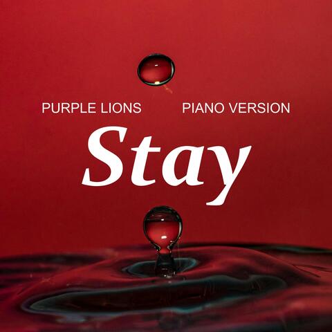 Stay