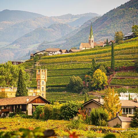Winery