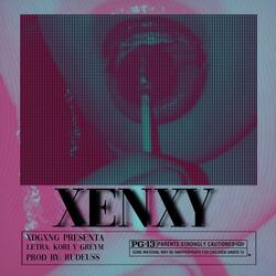 XENXY