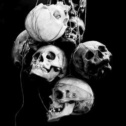 Machine Driven Heart