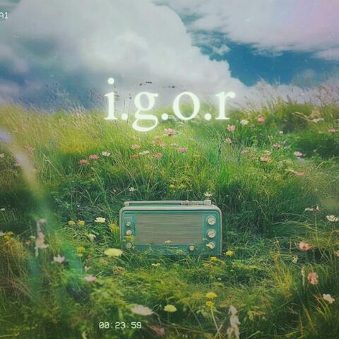 i.g.o.r