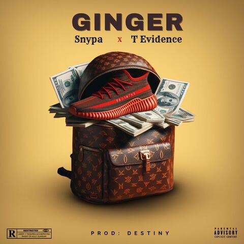 Ginger