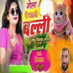 गेला में मलगी बल्ली तोसु मिलबा आयो लल्ली