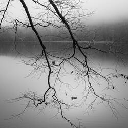 don’t play with me