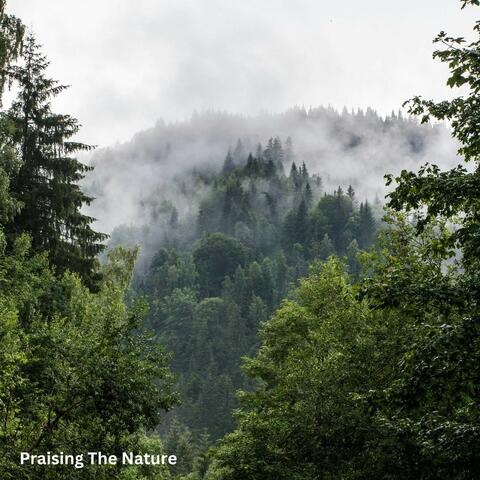 Praising The Nature