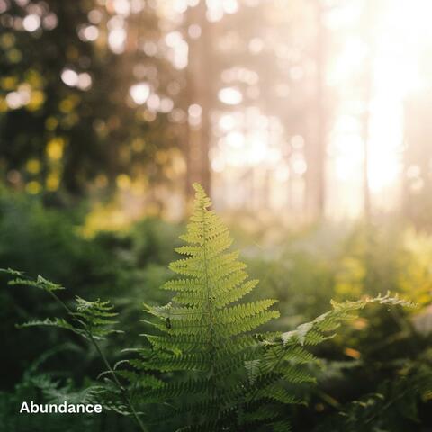 Abundance