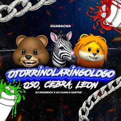 Otorrinolaringologo (Oso, Cebra, León) (Guaracha)