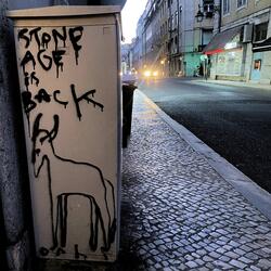 Stone Age Is Mad