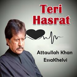 Teri Hasrat