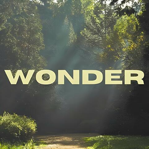 Wonder