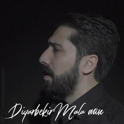 Diyarbekir Mala mîn