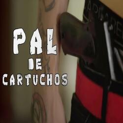Pal De Cartuchos