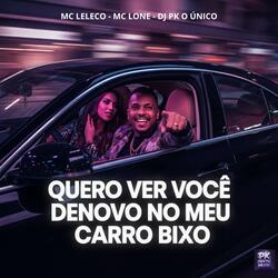 Quero Ver Você Denovo no Meu Carro Bixo