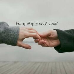 Por que que você veio