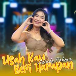 Usah Kau Beri Harapan