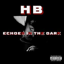 Echoes In The Dark