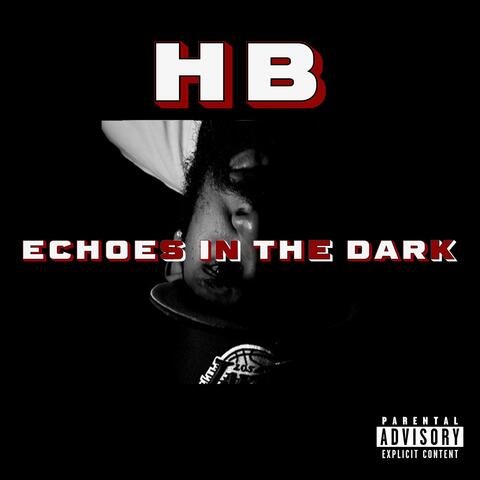 Echoes In The Dark