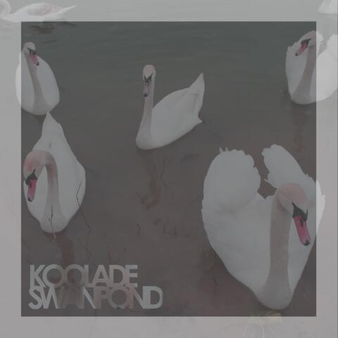 Swan Pond
